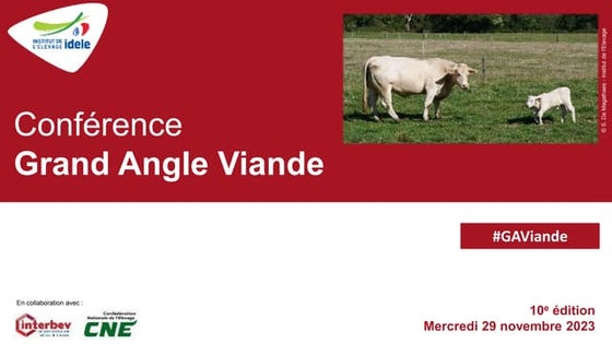 GAV2023 - Evaluer pour gérer le bien-être en élevage bovin viande : outils di...