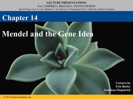 Ch 14: Mendel and the Gene Idea