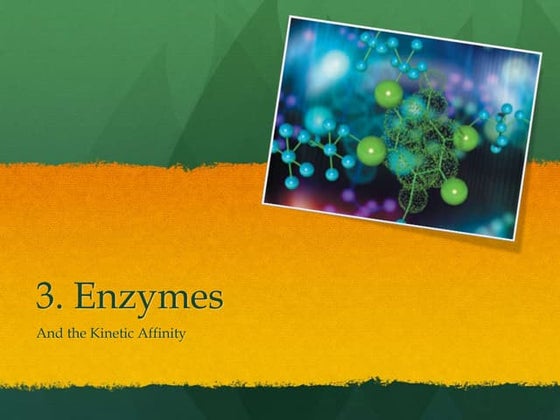 AS Level Biology - 3) Enzymes