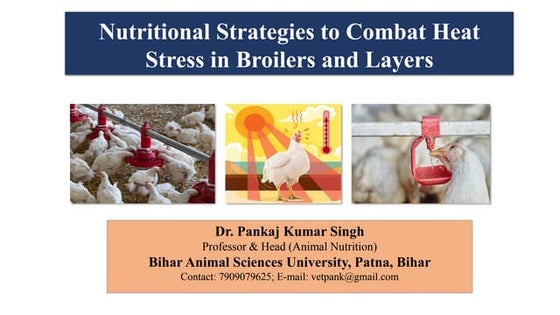Nutritional Management of Heat Stress in broiler and layers