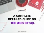 A Complete Detailed Guide On The Uses Of SQL.pdf