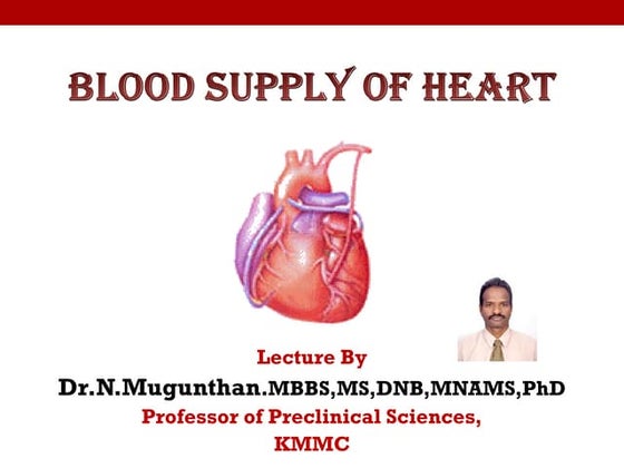 BLOOD SUPPLY OF HEART- Prof.Dr.N.Mugunthan.pdf