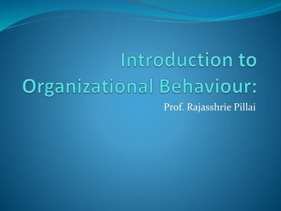 Chapter 1  Organizational Behaviour 