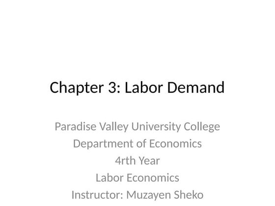 Chapter_3_Labor_Demand lecture Expanded .pptx
