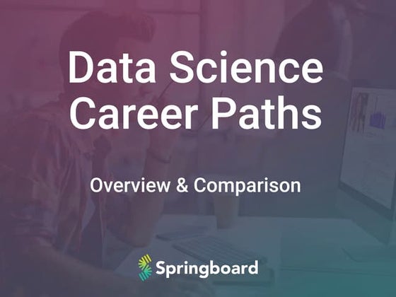 Different Career Paths in Data Science
