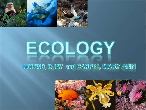 Ecology boa