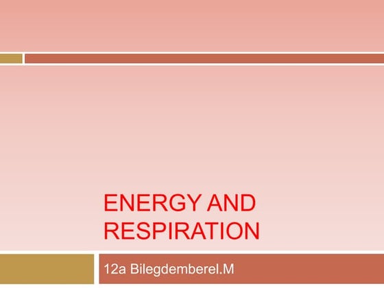 Energy and respiration