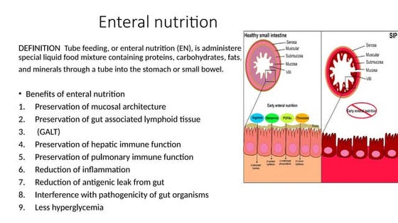 ENTERAL NUTRIOTION IN ICU - DEFINITION GUIDELINES
