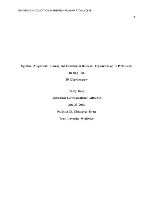 Implementation of Professional Training Plan
