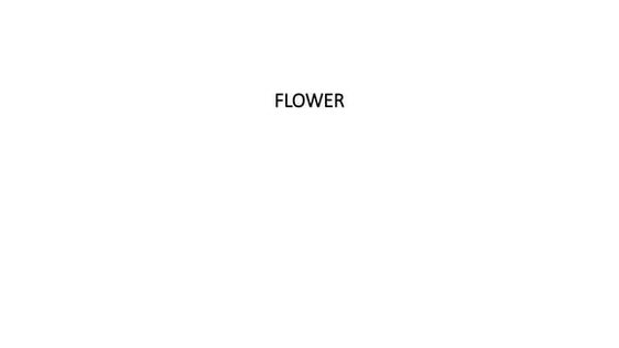 FLOWER class 9 ICSE Class9 detailed.pptx