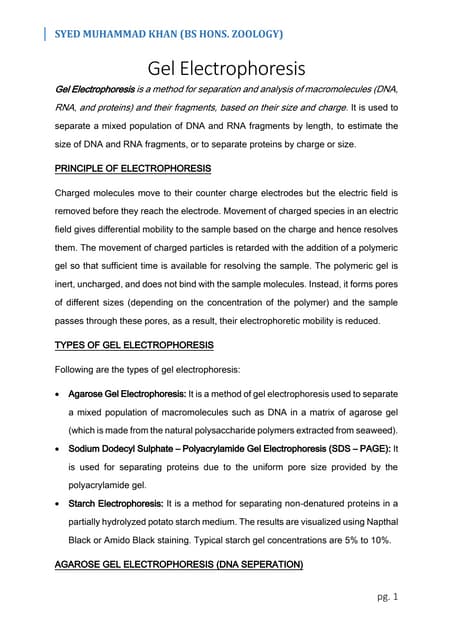 Gel Electrophoresis