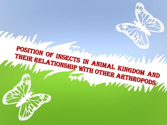 Lecture 2 CLASSIFICATION OF PHYLUM ARTHROPODA UPTO CLASSES & POSITION OF_1.pptx