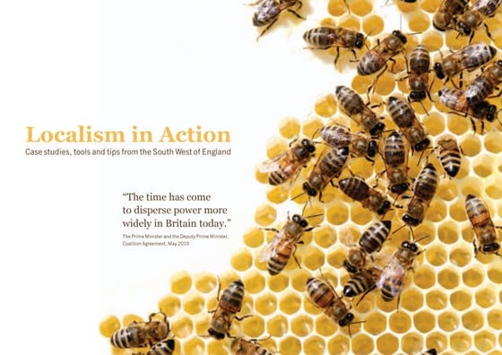 Localism in Action (Creating Excellence)