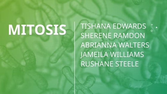 MITOSIS PRESENTATION FOR BIOLOGY AND HSB.pptx