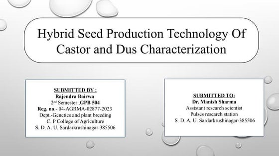 Hybrid seed production technology of castor and DUS characterization