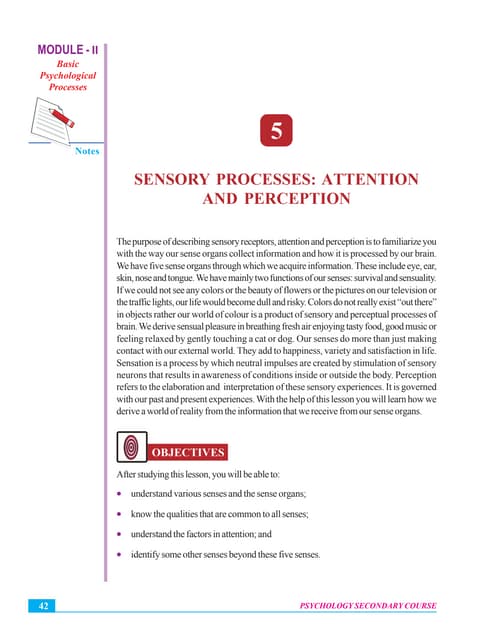 Sensory processes  attention and perception