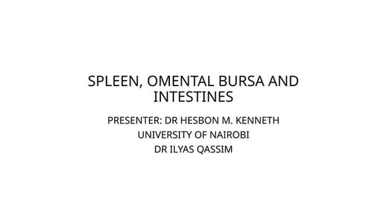 SPLEEN, OMENTAL BURSAE AND INTESTINES kenn.pptx